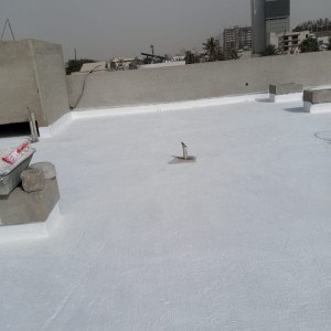 Roof Waterproofing