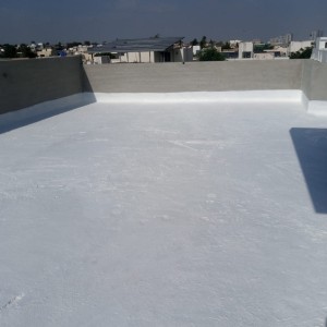 Roof Waterproofing