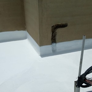 Roof Waterproofing