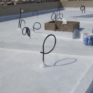 Roof Waterproofing