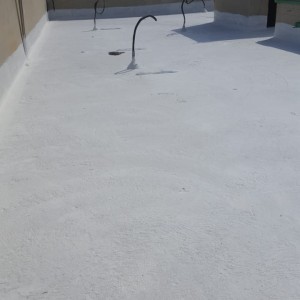 Roof Waterproofing