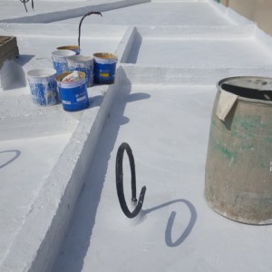 Roof Waterproofing