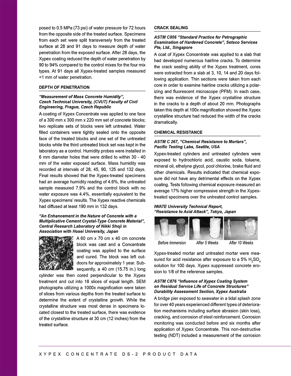 XYPEX CONCENTRATE DS-2 - Page 2