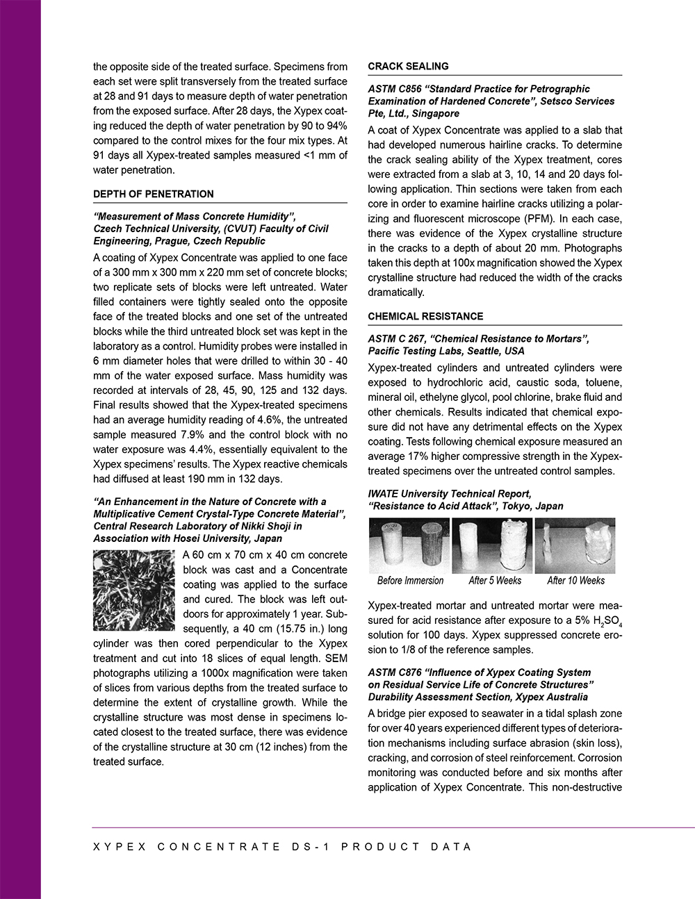 XYPEX CONCENTRATE DS-1 - Page 2